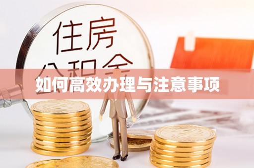 云南如何高效办理与注意事项