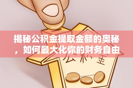 云南揭秘公积金提取金额的奥秘，如何最大化你的财务自由