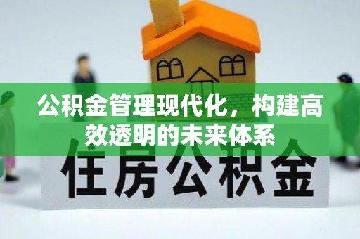 云南公积金管理现代化，构建高效透明的未来体系